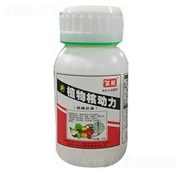 ֲ��˄���-�����r��