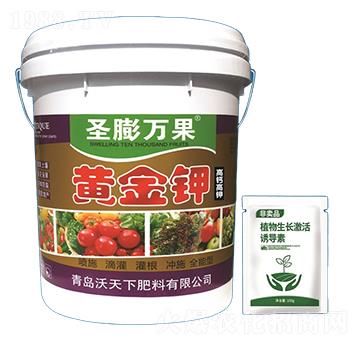 黃金鉀-圣膨萬(wàn)果-沃天下