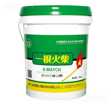 花繁葉茂-一根火柴-匯滋潤(rùn)鑫