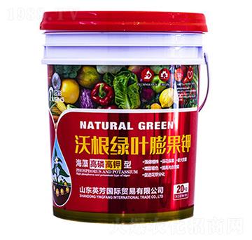 沃根綠葉膨果鉀-起彩-英芳