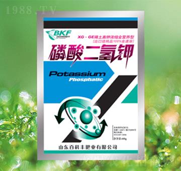 �������⛣�����-�ٿ�