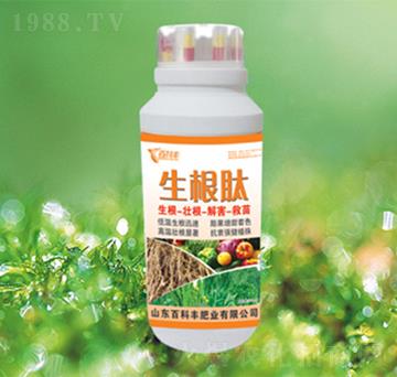 ������-�ٿ��S