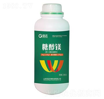 �Ǵ��V-�n�h����