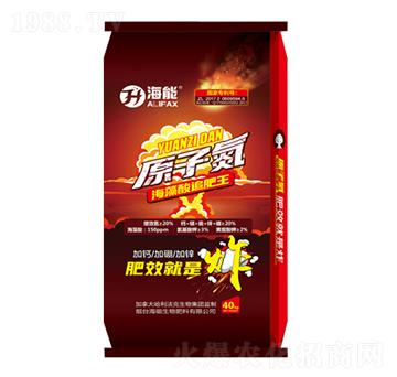 ԭ�ӵ�������׷����-����