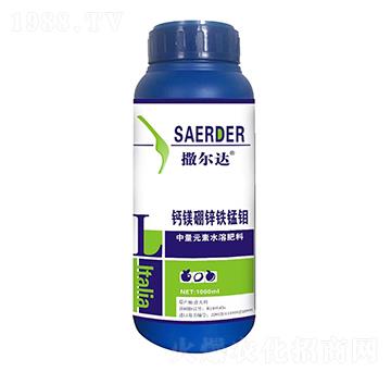 �}�V���\�F�i�f-�����_-��(y��u)�ݿ�