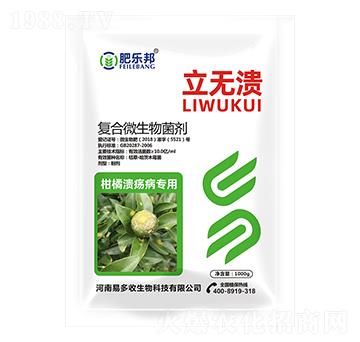 �ͺ�΢�������-���o��-�׶���