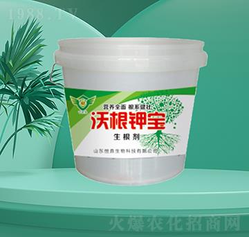 �ָ�⛌�-�㶦����