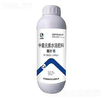 1000ml���~�}��-��ʩ��