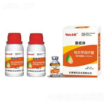 ����ѿ�ߗU��-˪�߃�-�x���r��