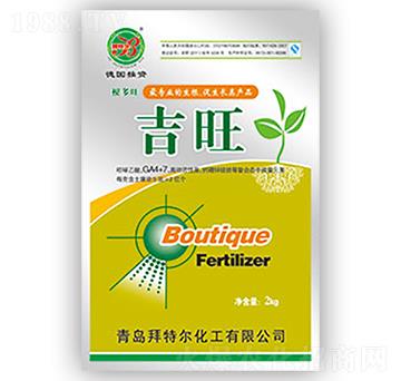 ������-����-���ؠ�