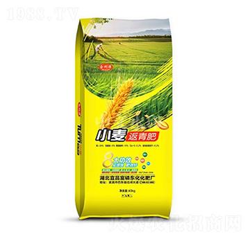 合利源小麥返青肥-中農三禾