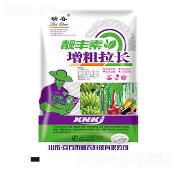 �n�S���������L-��-���r