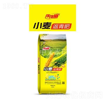 小麥返青肥-伴伴富-中農三禾