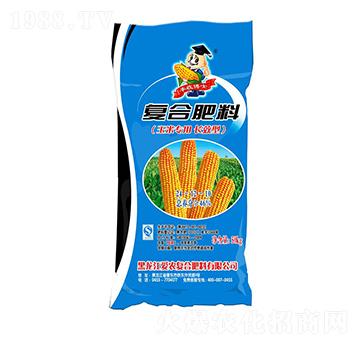 ���׌����L(zh��ng)Ч�͏�(f��)�Ϸ���24-12-10-�S�ղ�ʿ-��(��i)�r(n��ng)