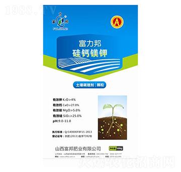 �����{(di��o)�턩-���}�V�-����ʘI(y��)