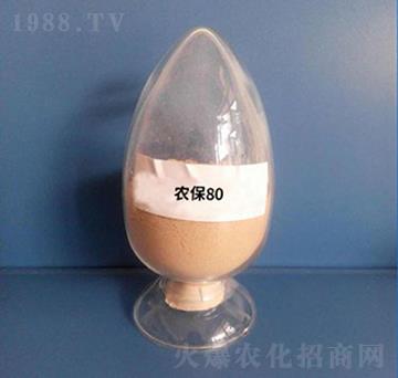 �����r(n��ng)��80���ۄ���-��������