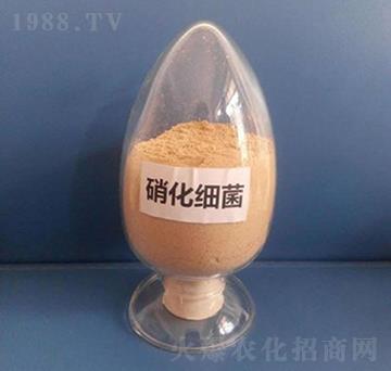 ������(x��)�����ۄ���-��������