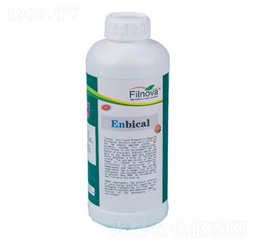 ���º��x���Ƅ�-���ؿ�-�M(f��i)���Z