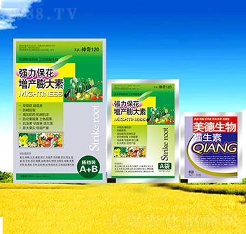 �������a(ch��n)�����-��������