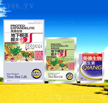 ���¸��o�����-��������