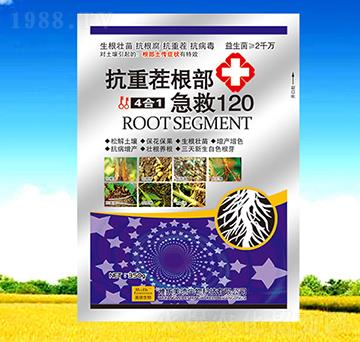 ���ز��������120-��������