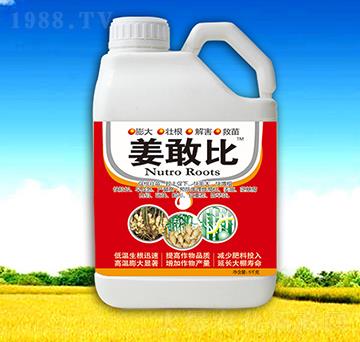 ���ұ�-��������