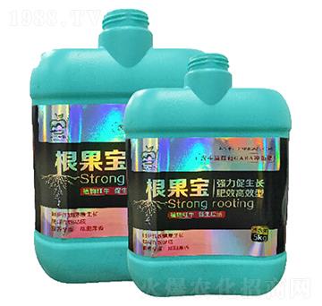 ������-�ٴ�