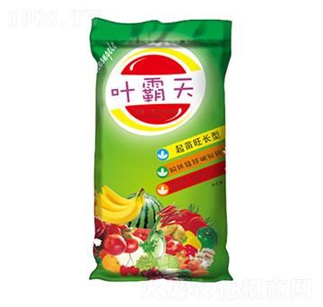 �~�����~���-�����