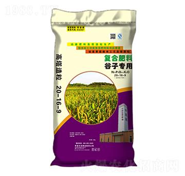 ���ӌ��ø�����(f��)�Ϸ�20-16-9-�����