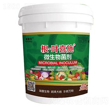 ΢�������-�����~ϲʩ-��������