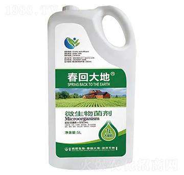 5L΢�������-���ش��-��������