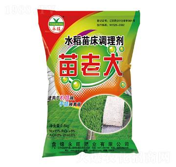 水稻苗床調(diào)理劑-苗老大-永旺肥業(yè)
