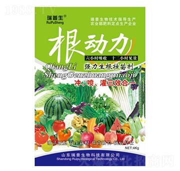 根動(dòng)力-瑞普生物