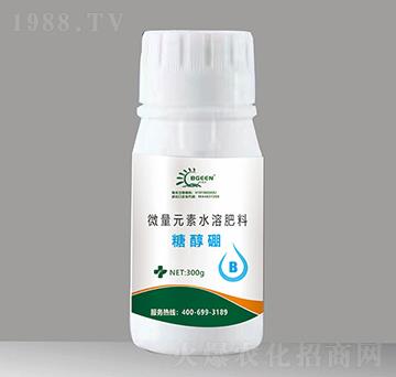 �Ǵ���-�͸񠖹��ܷ�