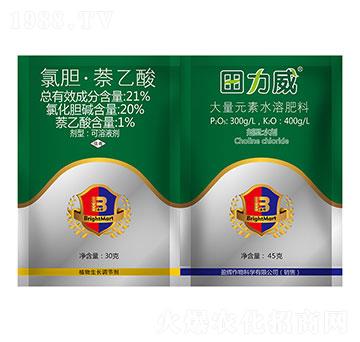 21%��đ��������+����Ԫ��ˮ�ܷ���-������-ӯ�x