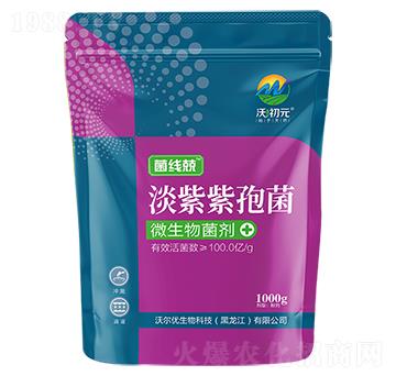 淡紫紫孢菌-菌線兢-沃初元-沃爾優(yōu)
