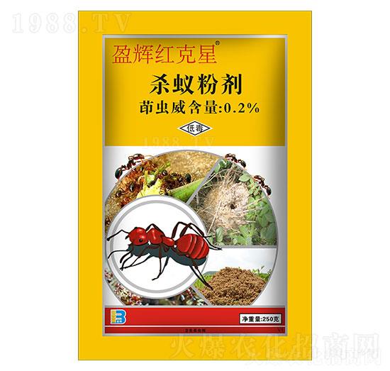 0.2%���x����ρ�ۄ���250g��-ӯ�x�t����-ӯ�x