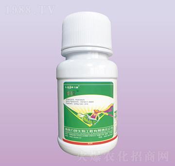 ����������-��������