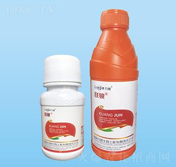 ���E���x��-��������