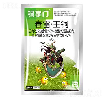 50%春雷·王銅（1000g）-銅掌門-盈輝