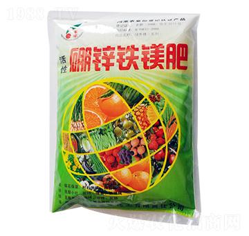 �������\�F�V��-���S