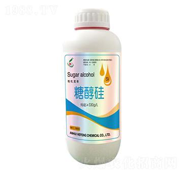 �Ǵ���-���S