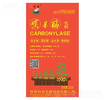 碳基霉菌-科潤(rùn)生物