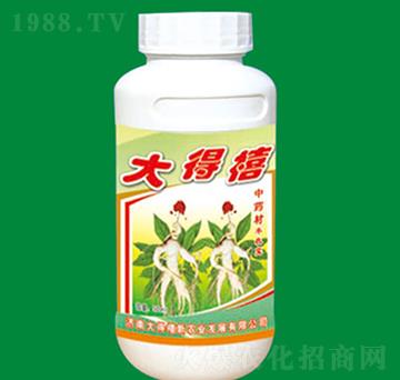 ��ˎ�Č����~���-�S�Ռ�-�����