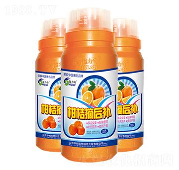 �̽�ժ���a(b��)-ʩ����-ԣ��߿�