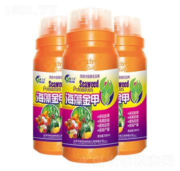 ʩ���溣����-ԣ���