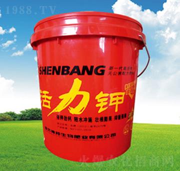 �����-�������