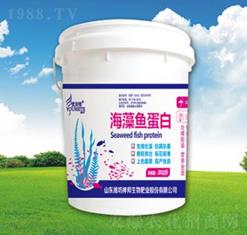 �����~(y��)����-�������