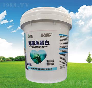 �����~(y��)����Ͱ��-�������