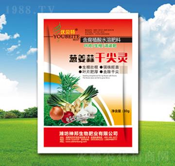 �[����ɼ��`-�������